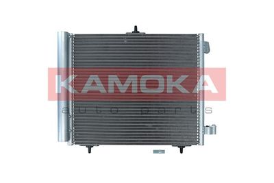 RADI CLIM C2 301 3640050