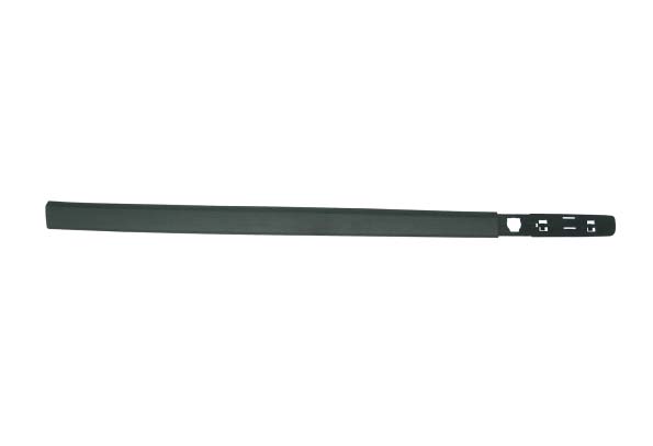 BAGUETTE DE PORTE AV GH CLIO III
