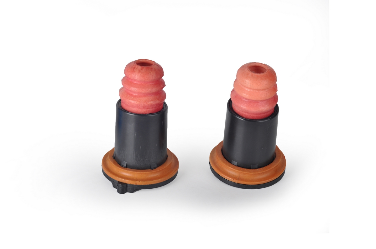 BUTEE CHOC AR ( court ) NEMO/ FIORINO/ BIPER