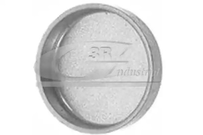 Bouchon de dilatation - 3RG84005